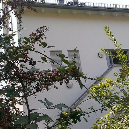 Petite Bellevue II Daire Baden-Baden Dış mekan fotoğraf