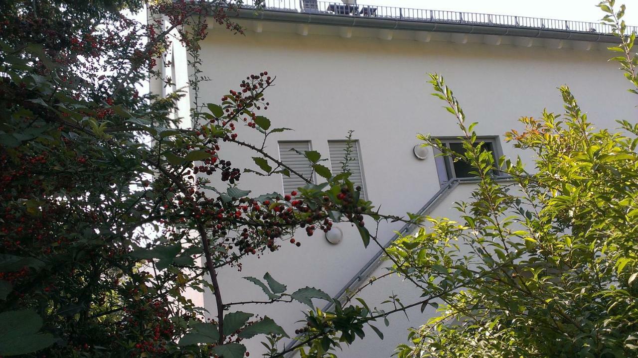 Petite Bellevue II Daire Baden-Baden Dış mekan fotoğraf